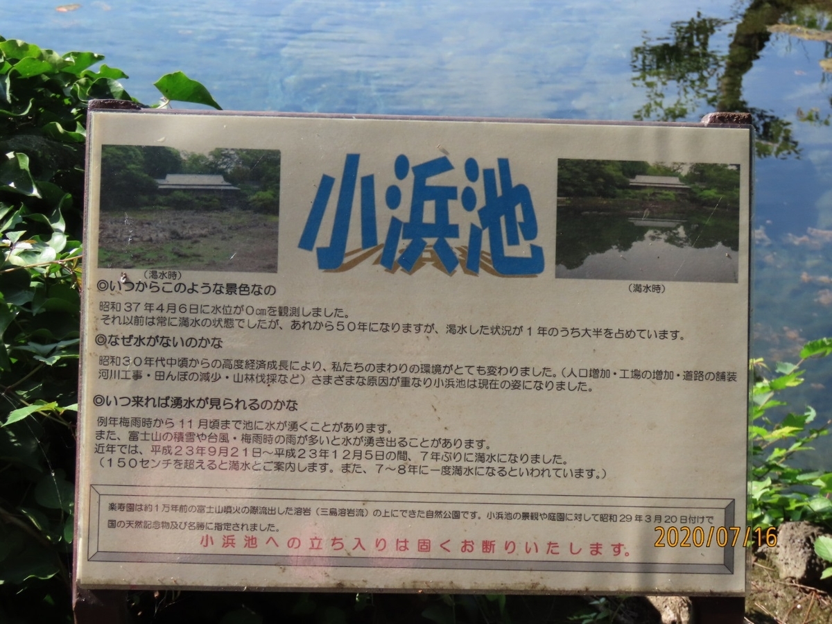 f:id:oisomachi-konkatsu-kekkon:20200717233706j:plain f:id:oisomachi-konkatsu-kekkon:20200717233706j:plain