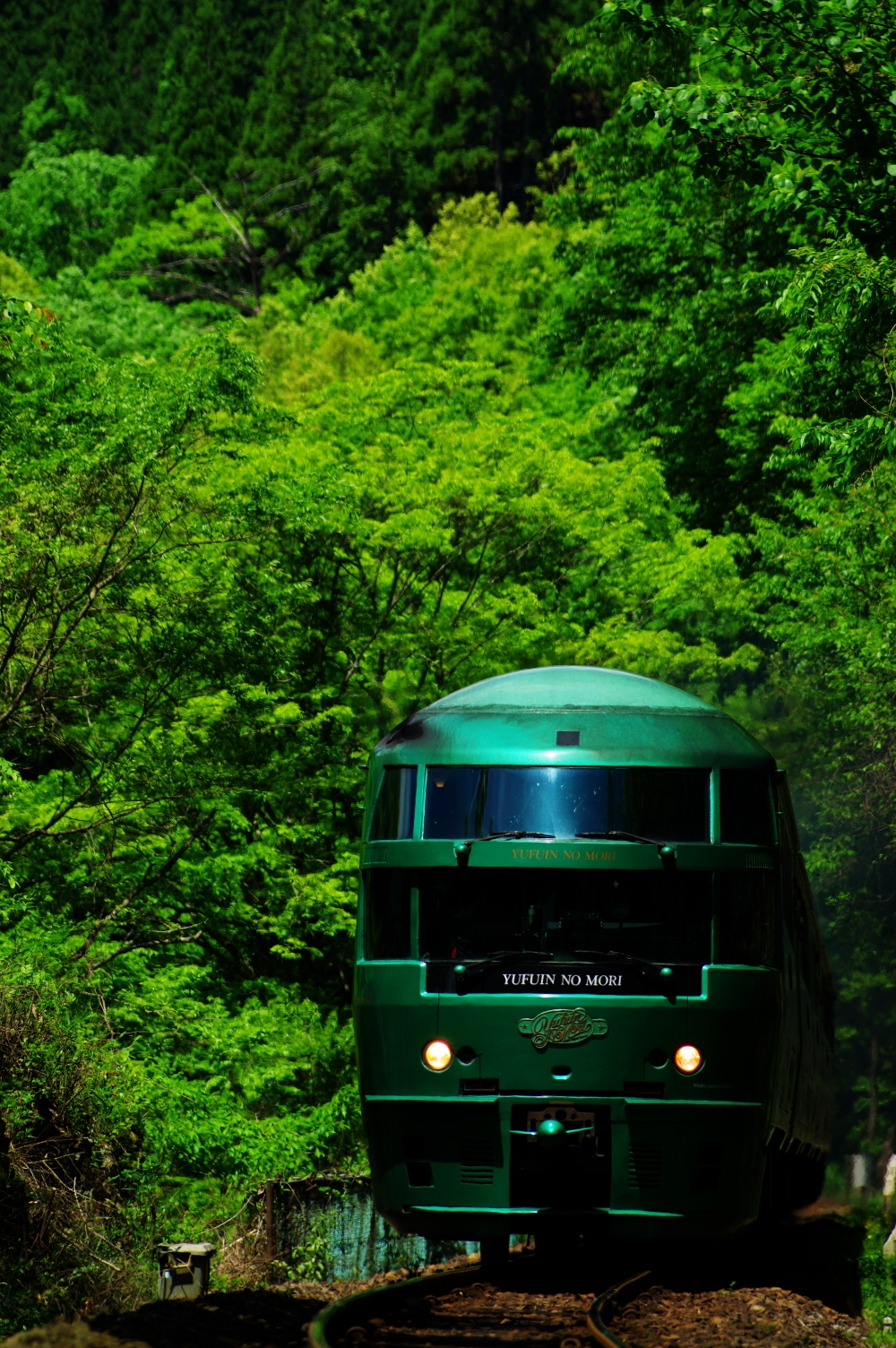 キハ72系 ゆふいんの森　三世 キハ72系 ゆふいんの森Ⅲ世 正式入線 - ナマケモノ写真館