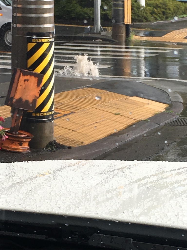 f:id:oiwakedoggies:20180827205300j:image