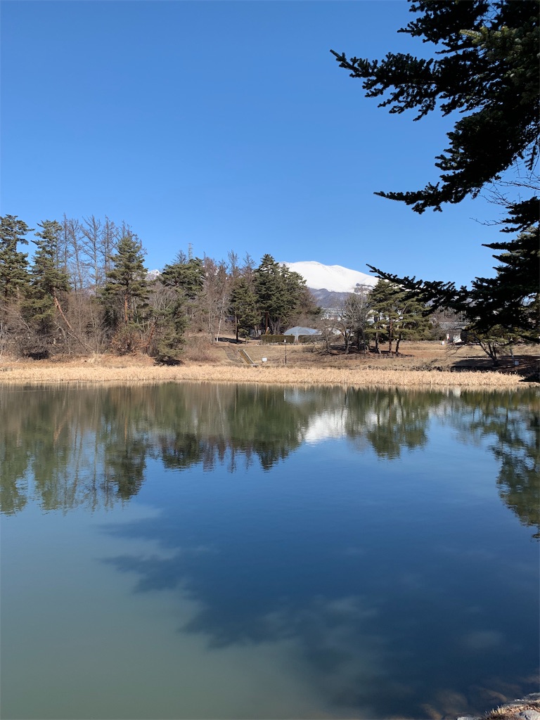 f:id:oiwakedoggies:20190318091526j:image f:id:oiwakedoggies:20190318091526j:image