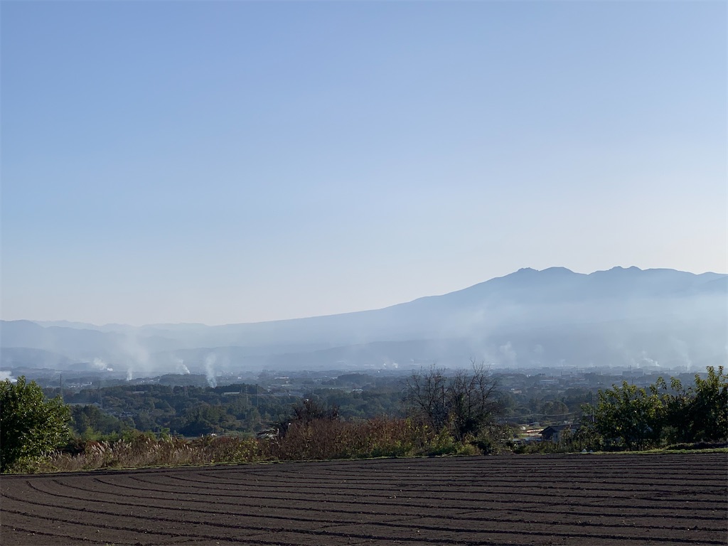 f:id:oiwakedoggies:20201102104133j:image f:id:oiwakedoggies:20201102104133j:image