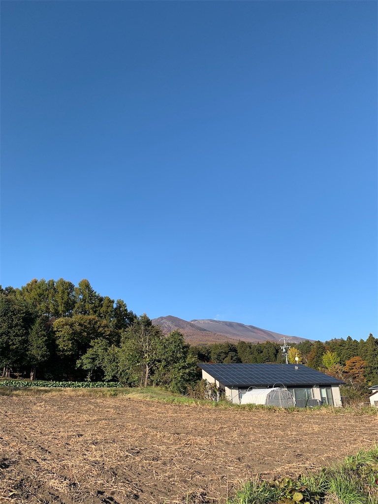 f:id:oiwakedoggies:20201102104227j:image f:id:oiwakedoggies:20201102104227j:image