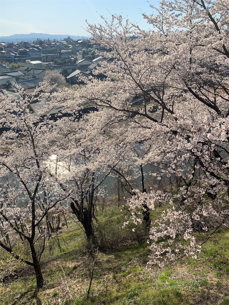 f:id:oiwakedoggies:20210411123614j:image f:id:oiwakedoggies:20210411123614j:image