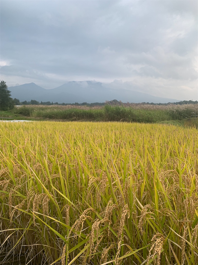 f:id:oiwakedoggies:20221006165947j:image f:id:oiwakedoggies:20221006165947j:image