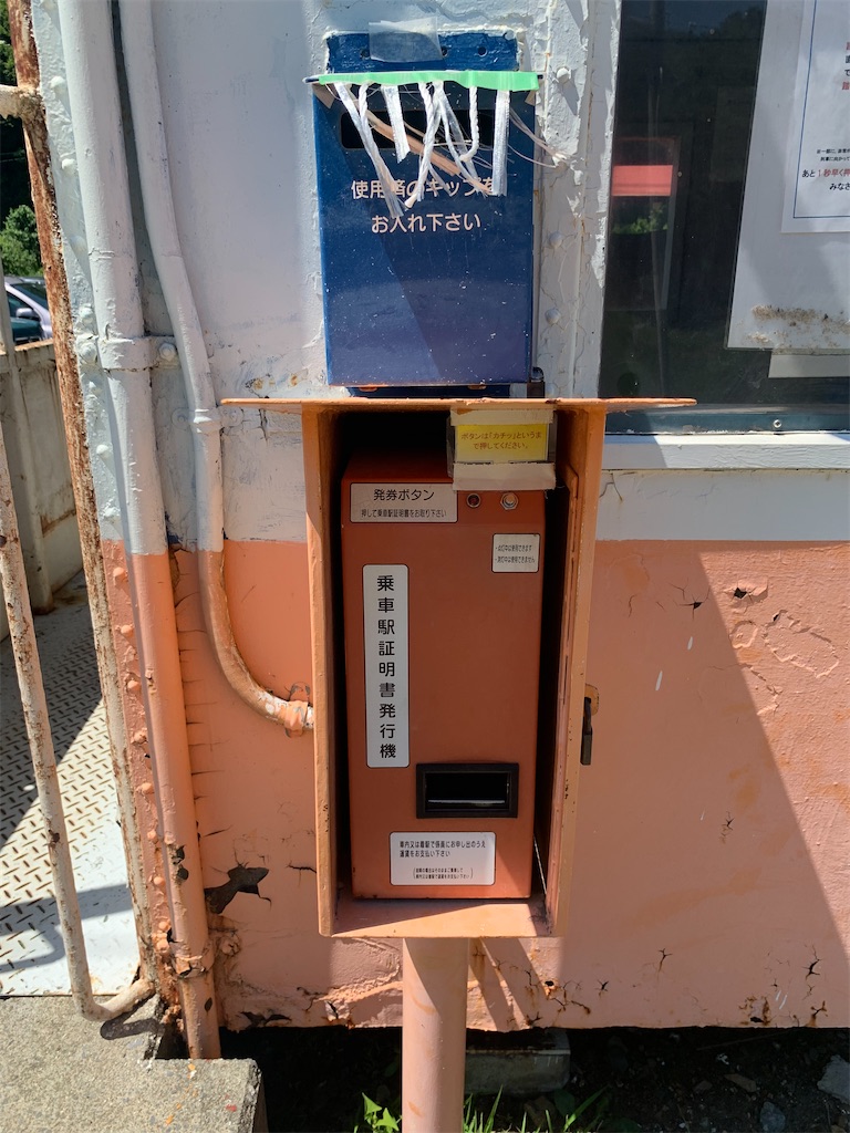 f:id:oiwakedoggies:20230625210227j:image