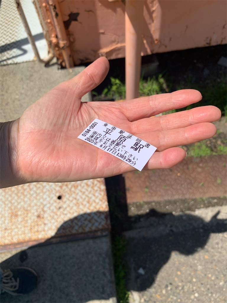 f:id:oiwakedoggies:20230625210245j:image