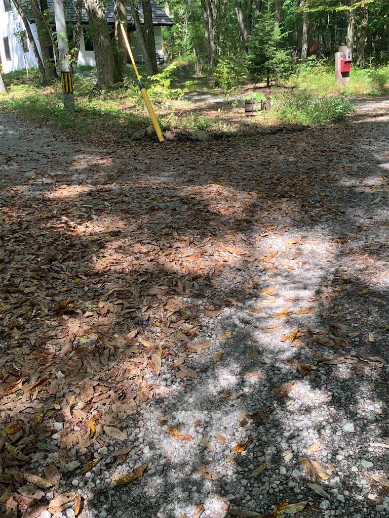 f:id:oiwakedoggies:20231002183832j:image f:id:oiwakedoggies:20231002183832j:image