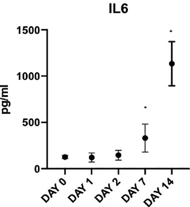 f:id:oiwarheumatology:20200508220946p:plain
