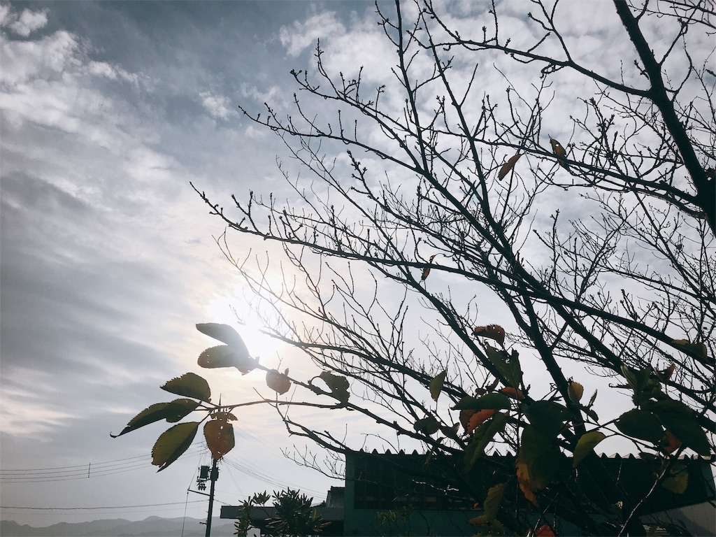 f:id:oiwkm:20191027214515j:image