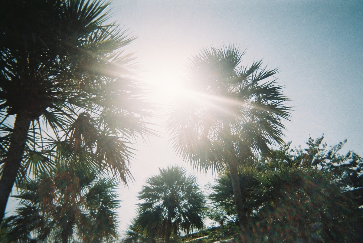 f:id:oiwkm:20191104210753j:plain