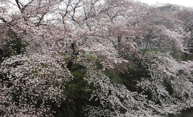 f:id:oiyan-run:20170405192054j:plain