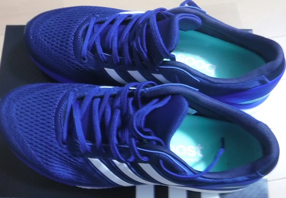 f:id:oiyan-run:20170614195047j:plain