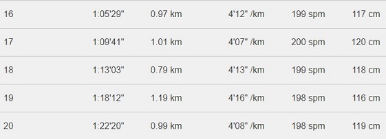 f:id:oiyan-run:20171010163544j:plain f:id:oiyan-run:20171010163544j:plain