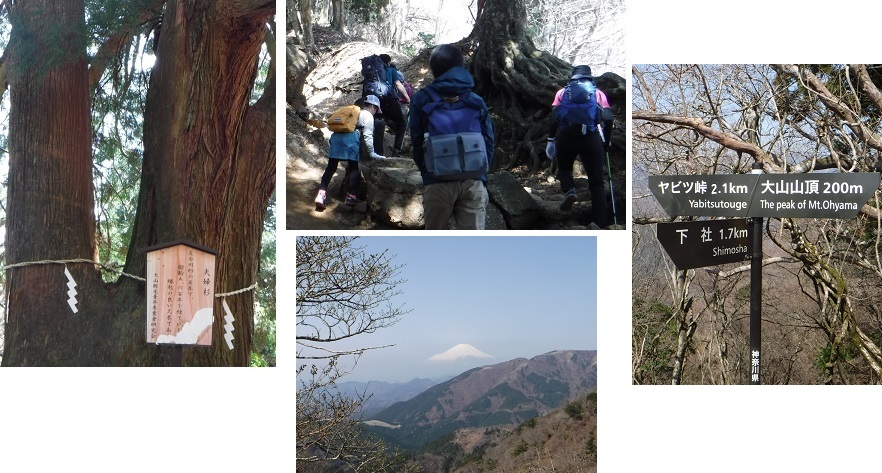 f:id:oiyan-run:20180331151317j:plain f:id:oiyan-run:20180331151317j:plain