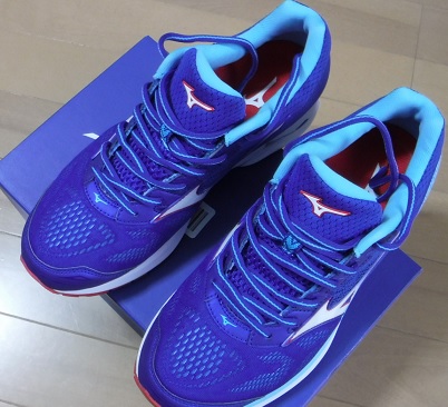 f:id:oiyan-run:20180401210929j:plain f:id:oiyan-run:20180401210929j:plain