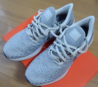 f:id:oiyan-run:20180604173453j:plain f:id:oiyan-run:20180604173453j:plain