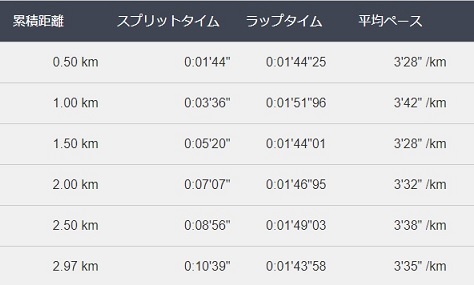 f:id:oiyan-run:20180723174529j:plain