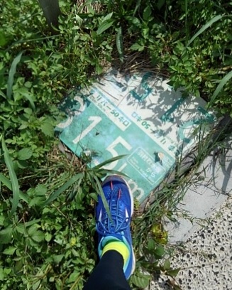 f:id:oiyan-run:20180923113111j:plain