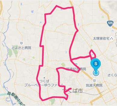 f:id:oiyan-run:20181111173151j:plain f:id:oiyan-run:20181111173151j:plain