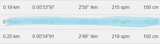 f:id:oiyan-run:20181211185950j:plain f:id:oiyan-run:20181211185950j:plain