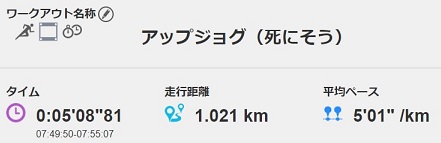 f:id:oiyan-run:20181226111944j:plain f:id:oiyan-run:20181226111944j:plain