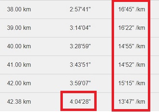 f:id:oiyan-run:20190128210509j:plain