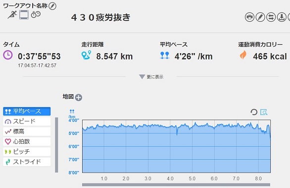 f:id:oiyan-run:20190307185231j:plain f:id:oiyan-run:20190307185231j:plain