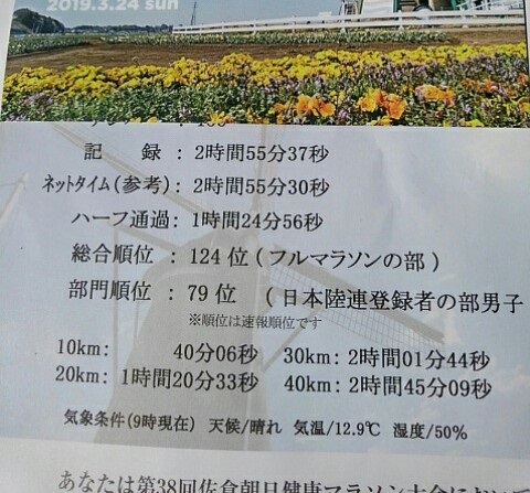 f:id:oiyan-run:20190324162526j:plain