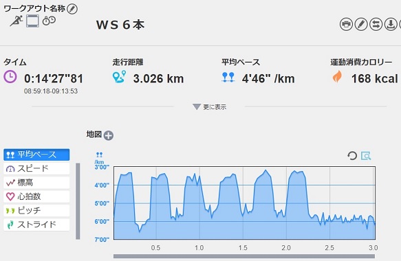 f:id:oiyan-run:20190602205213j:plain f:id:oiyan-run:20190602205213j:plain