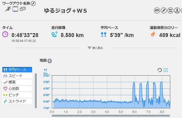 f:id:oiyan-run:20190604184649j:plain