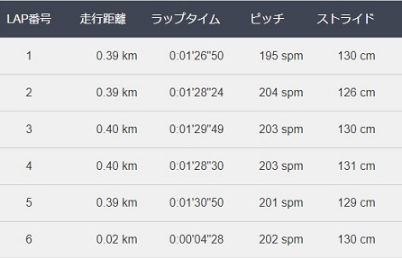 f:id:oiyan-run:20190605193639j:plain