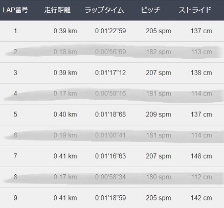 f:id:oiyan-run:20190605193805j:plain