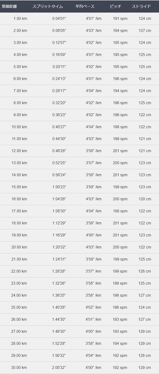 f:id:oiyan-run:20190623103822j:plain
