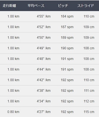 f:id:oiyan-run:20190626191021j:plain f:id:oiyan-run:20190626191021j:plain