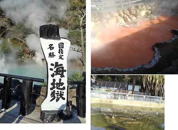 f:id:oiyan-run:20200204180102j:plain f:id:oiyan-run:20200204180102j:plain