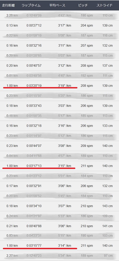 f:id:oiyan-run:20200324191248j:plain f:id:oiyan-run:20200324191248j:plain