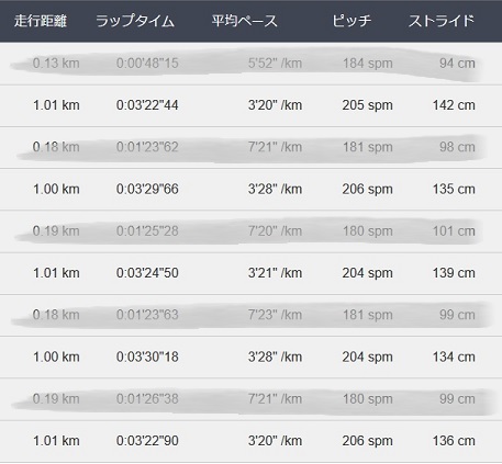 f:id:oiyan-run:20200331193324j:plain f:id:oiyan-run:20200331193324j:plain