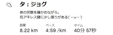 f:id:oiyan-run:20201005180901j:plain