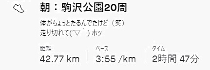 f:id:oiyan-run:20201129160214j:plain