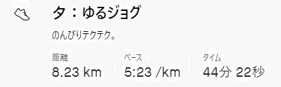 f:id:oiyan-run:20201206170432j:plain