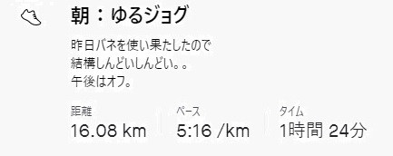 f:id:oiyan-run:20201206170454j:plain