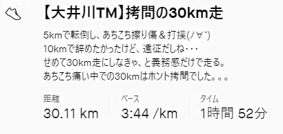 f:id:oiyan-run:20201220170527j:plain