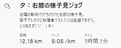 f:id:oiyan-run:20201223182142j:plain