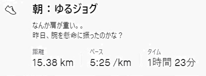 f:id:oiyan-run:20201228161359j:plain