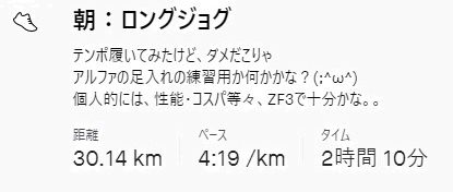 f:id:oiyan-run:20201231101613j:plain