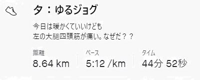 f:id:oiyan-run:20210117114913j:plain