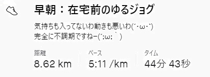f:id:oiyan-run:20210117114959j:plain