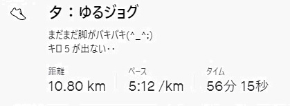 f:id:oiyan-run:20210129173447j:plain