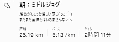f:id:oiyan-run:20210320101641j:plain