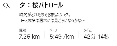 f:id:oiyan-run:20210327183953j:plain